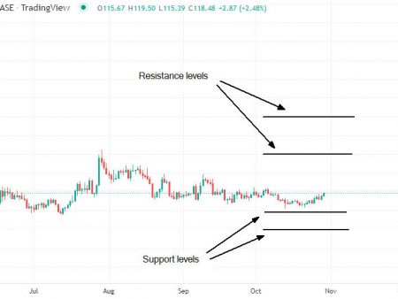 Bitcoin Cash (BCH) Price Estimate December 2024