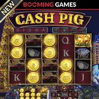 Have you tried Cash Pig from Booming Games with crypto?