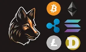 Fox with Six Cryptocurrencies on anonymous casino
