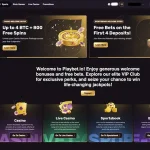 Playbet: Black 'N Gold Bitcoin Casino With a Brilliant Bonus