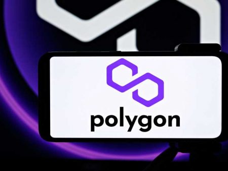 Polygon (MATIC) Price Estimate November 2024 – Rise or Fall?